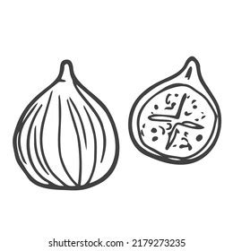 fig clipart black and white|3,806 Black And White Fig Stock Vectors, Images.